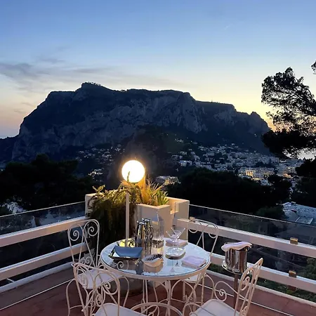 Grazia Capri